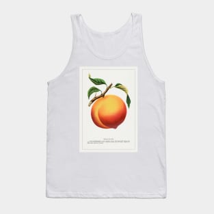 Wheatland peach lithograph (1900) Tank Top